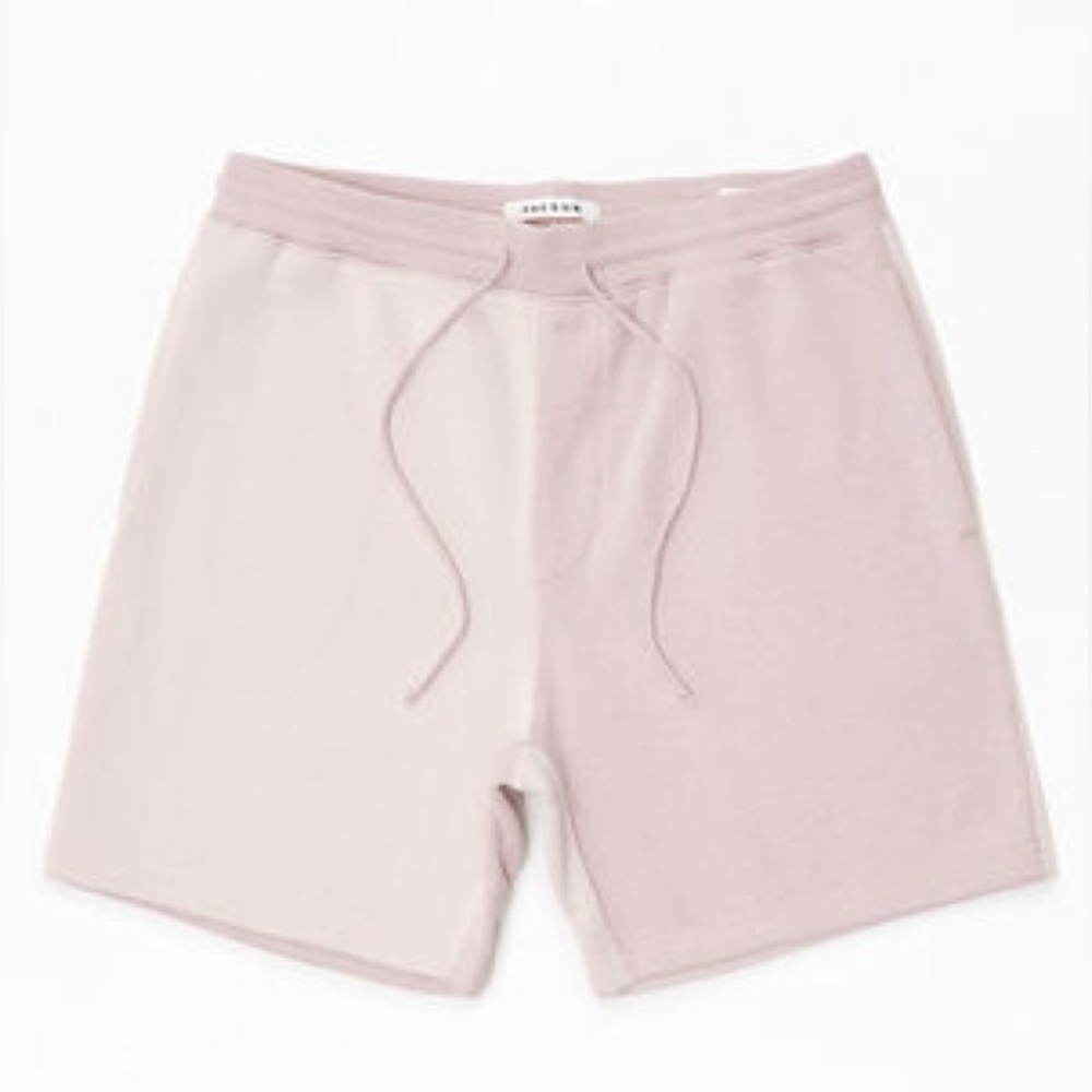 Pacsun Men’s Mauve Colorblock Fleece Volley Sweat Shorts | Size Medium - Picture 2 of 11